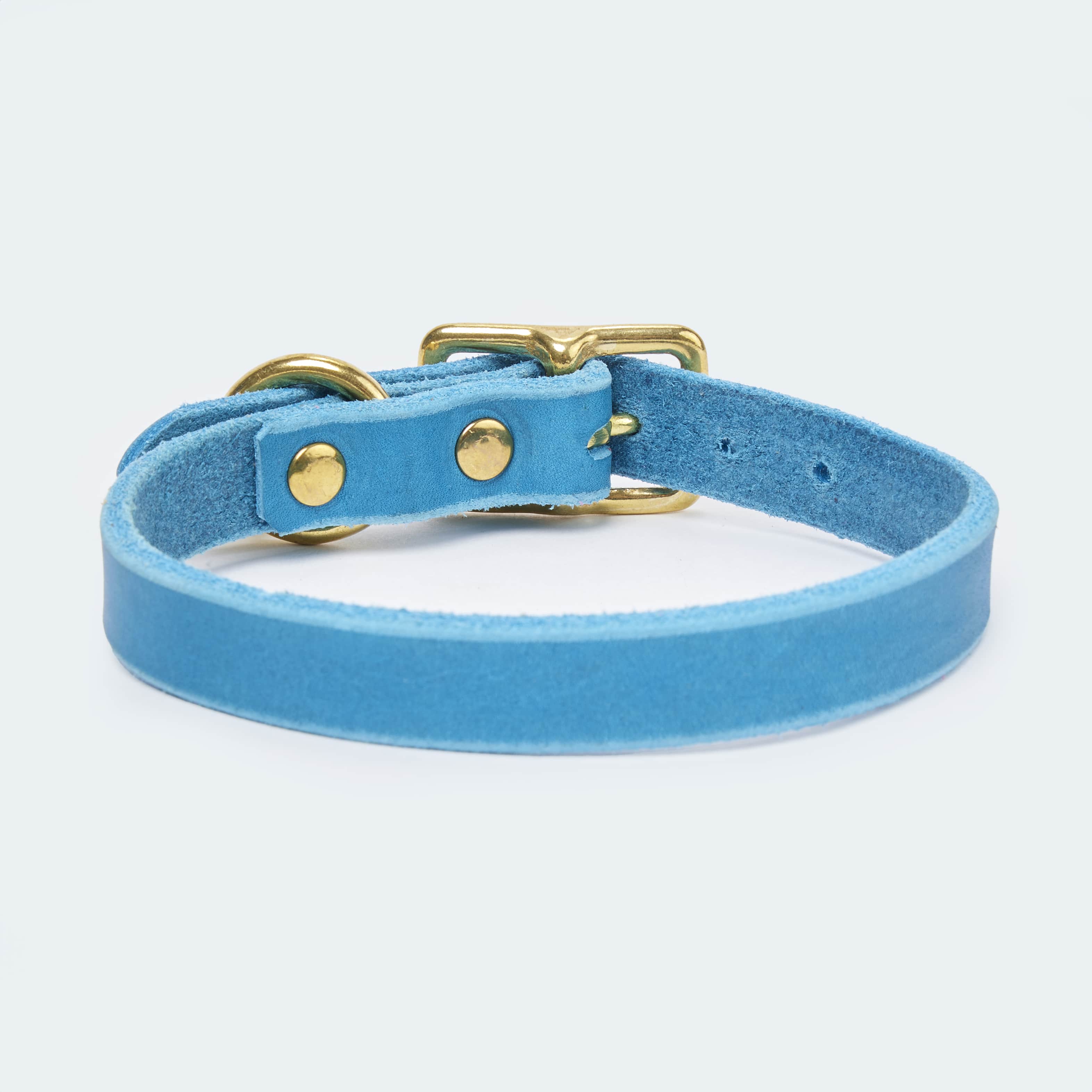 Abgerundetes Fettlederhalsband für Dackel und kleine Hunde - Image 12