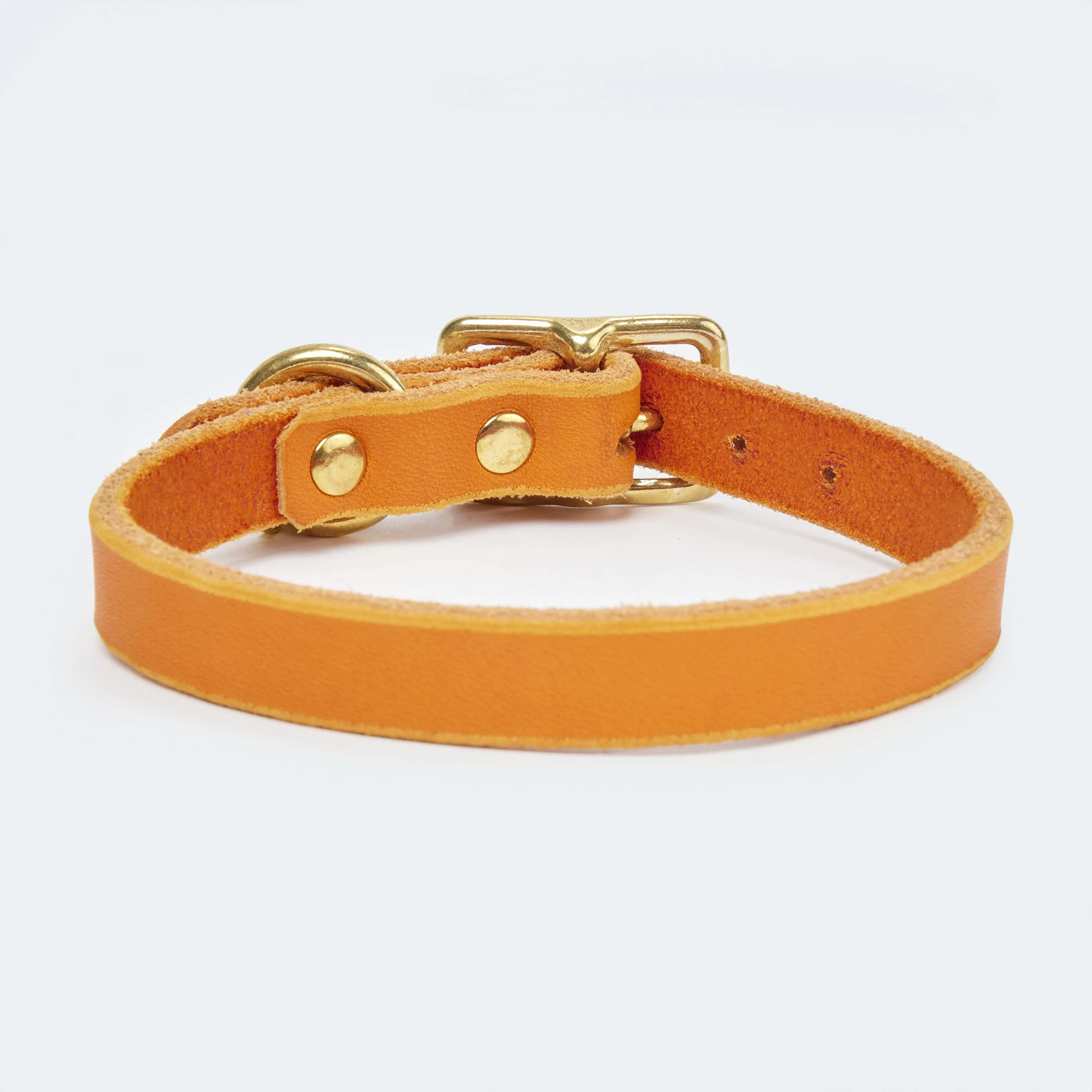 Abgerundetes Fettlederhalsband für Dackel und kleine Hunde - Image 14