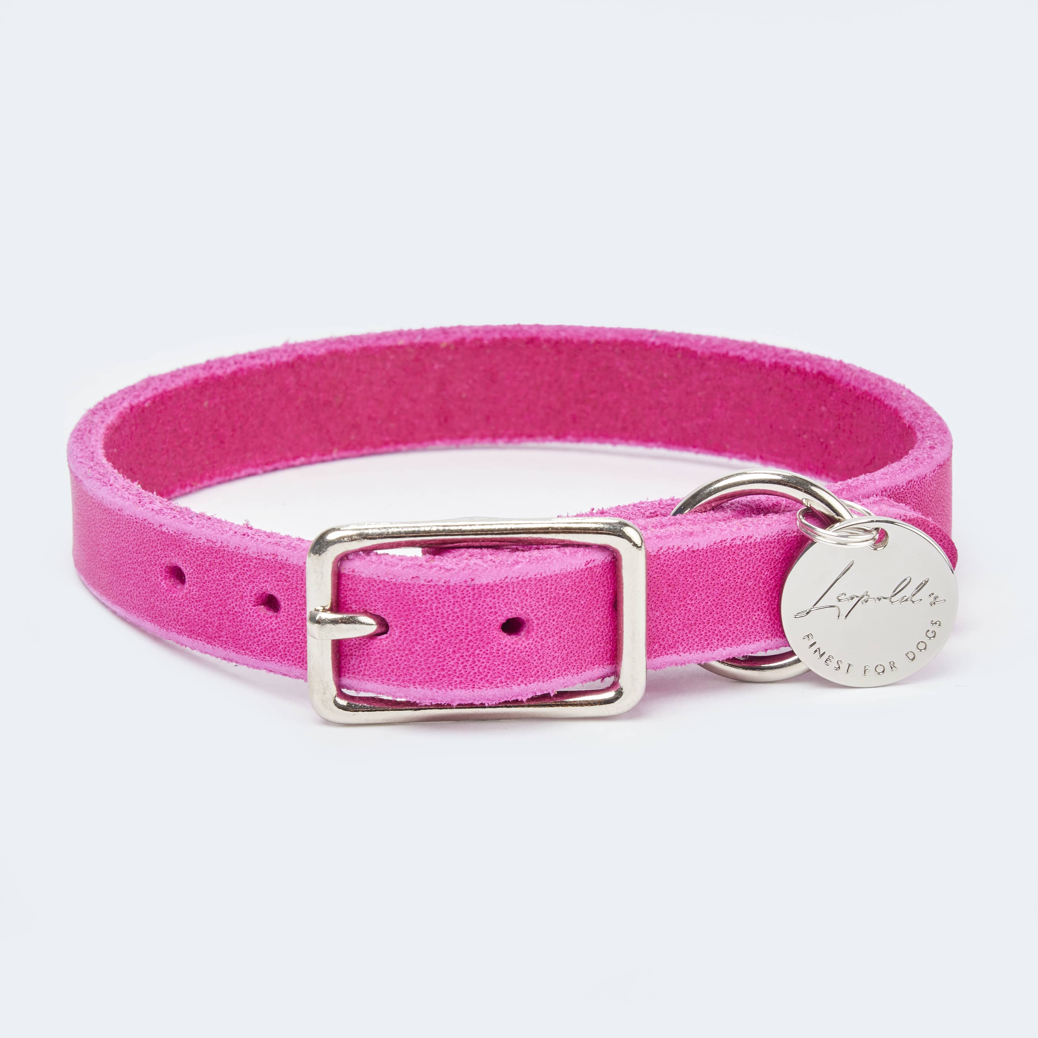 Abgerundetes Fettlederhalsband für Dackel und kleine Hunde - Image 7