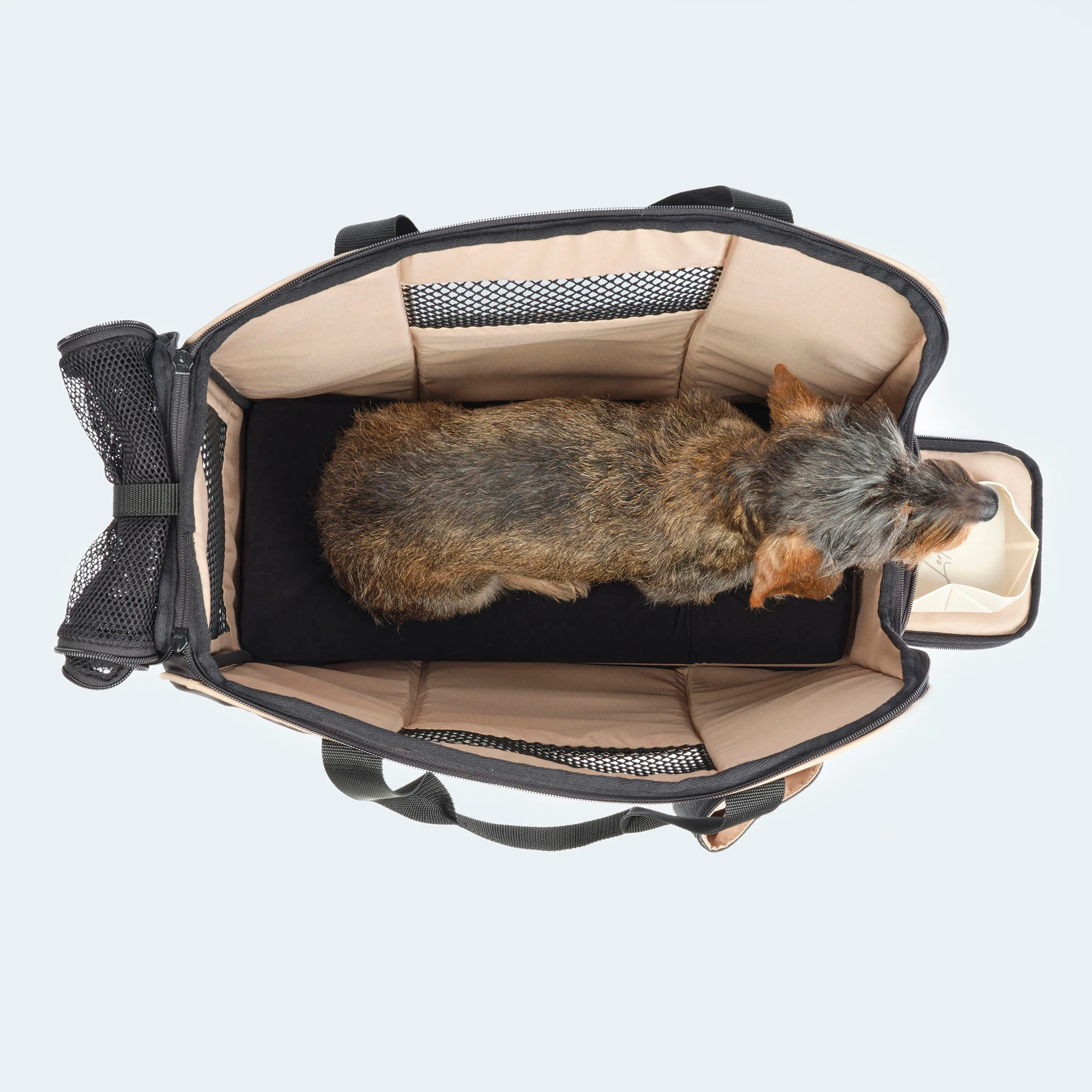 Flugtasche für Dackel und kleine Hunde mit orthopädischer Matratze - Image 9