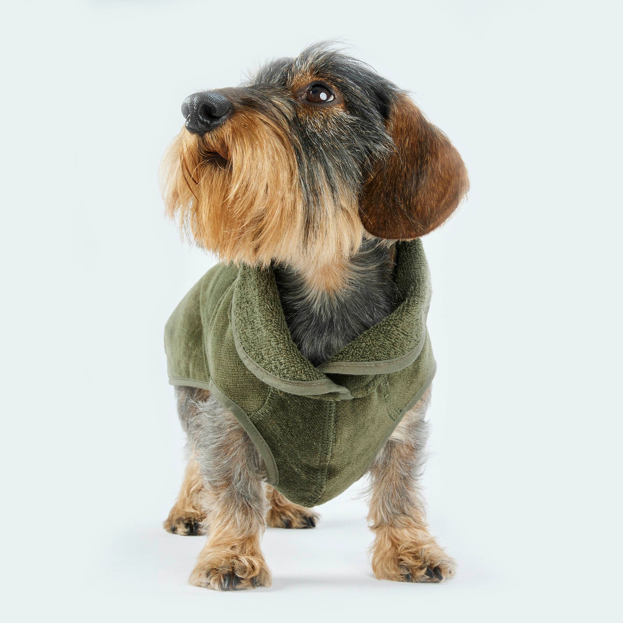 Hundebademantel - Image 14