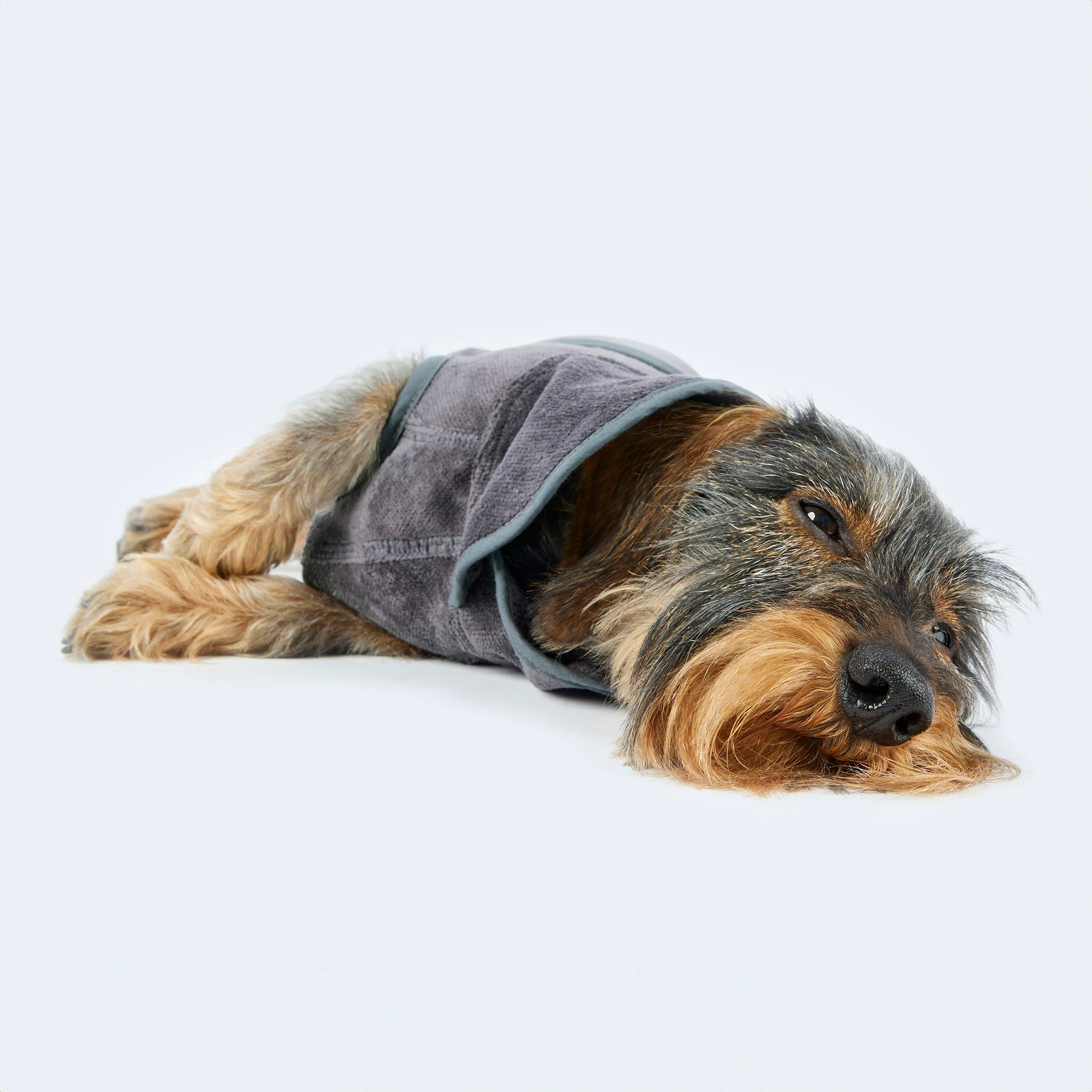 Hundebademantel - Image 8