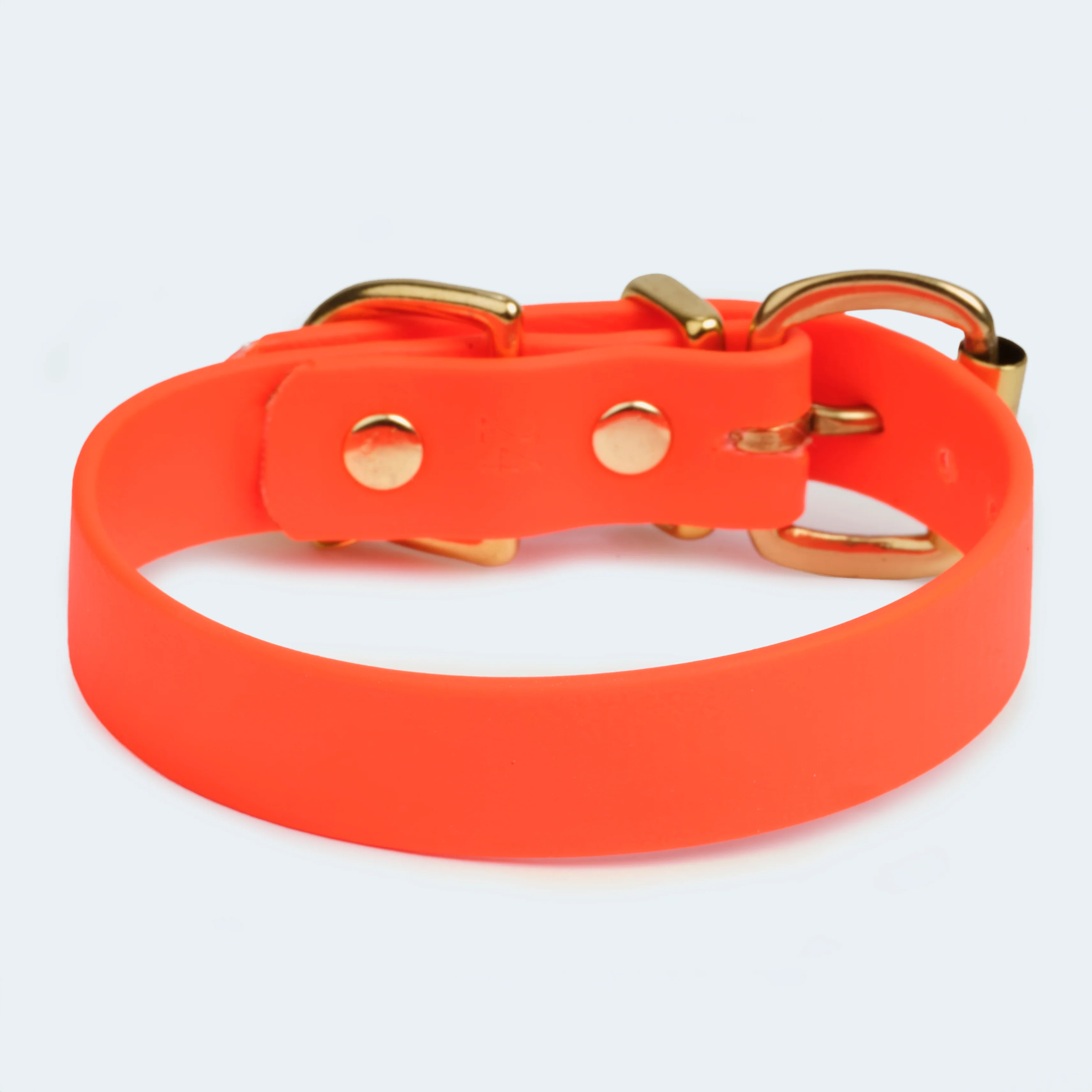 Hundehalsband Adventure - Image 4
