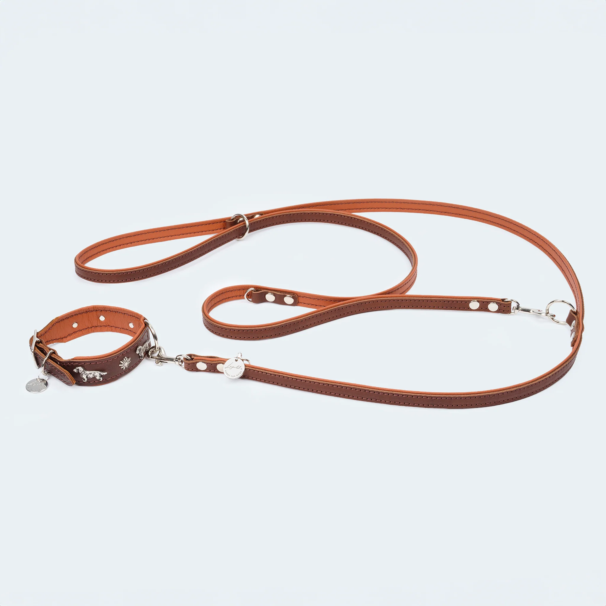 Hundehalsband Leder Dackel dunkelbraun/ cognac - Image 4