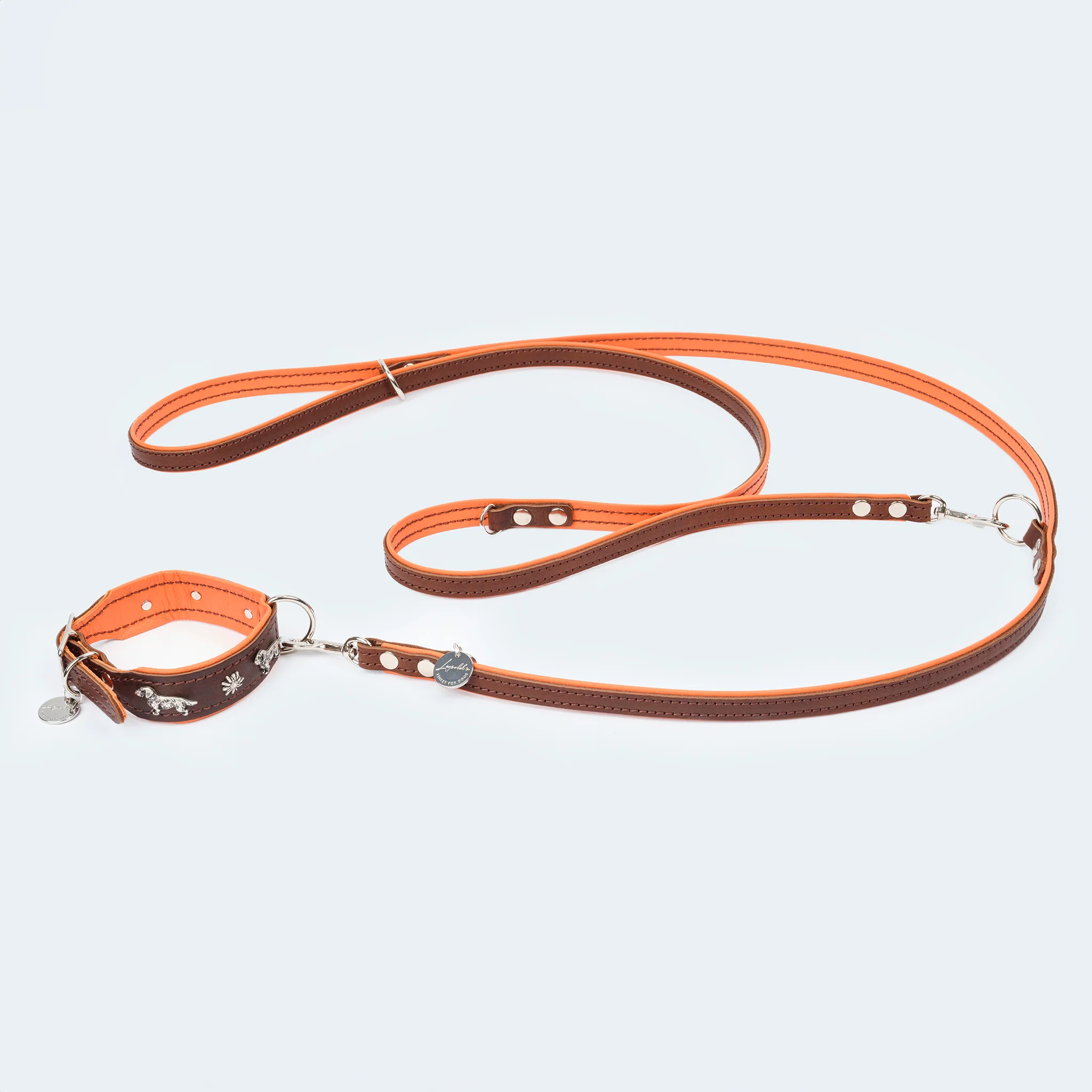Hundehalsband Leder Dackel dunkelbraun/ orange - Image 4