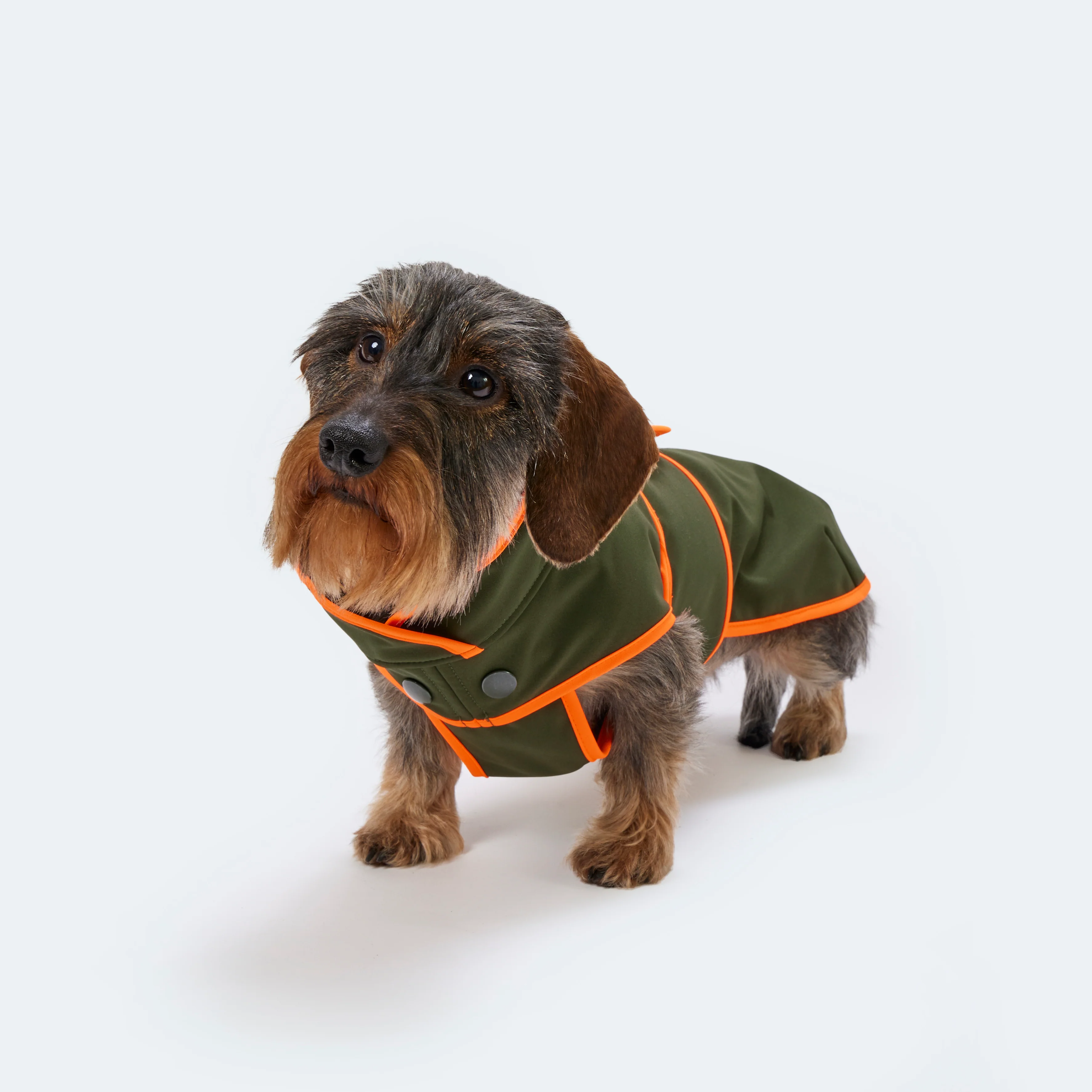 Hundemantel Dackel Softshell Handarbeit - Image 6