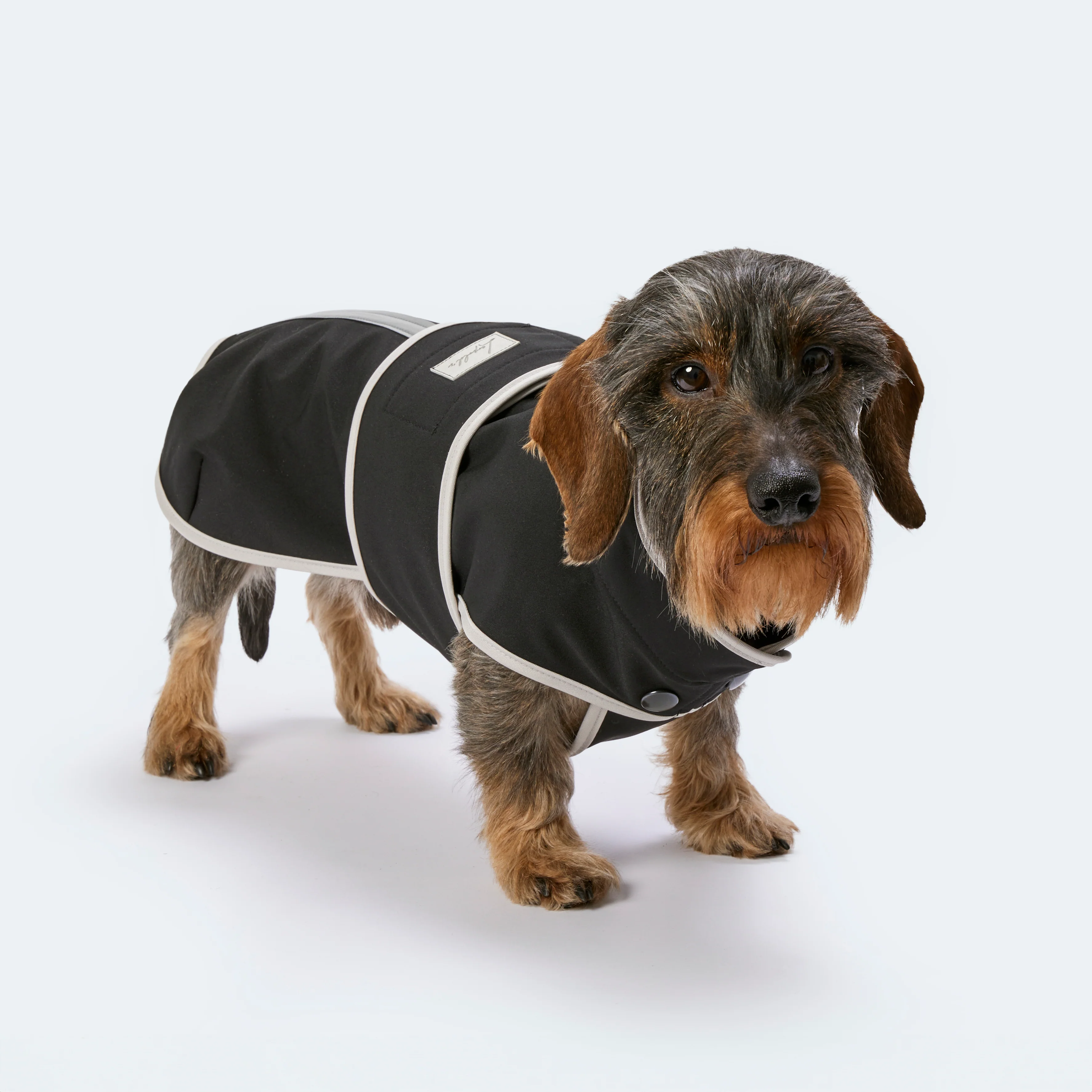 Hundemantel Dackel Softshell Handarbeit - Image 12