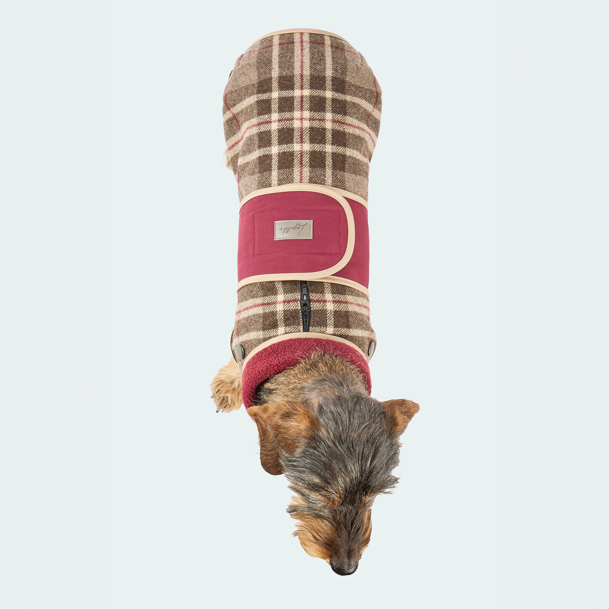 Hundemantel Wolle Softshell Glencheck braun - Image 5