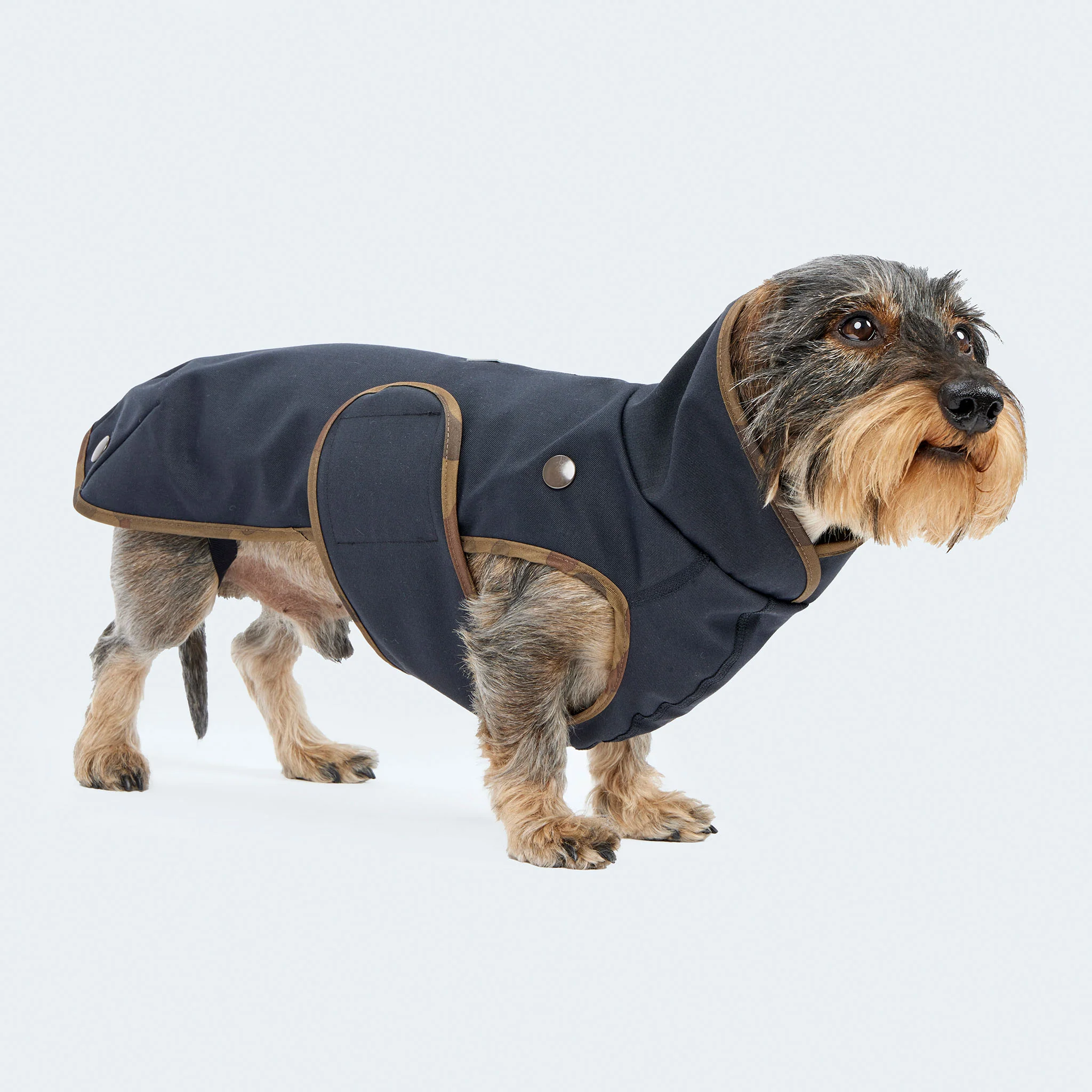 Hunderegenmantel Parka dunkelblau