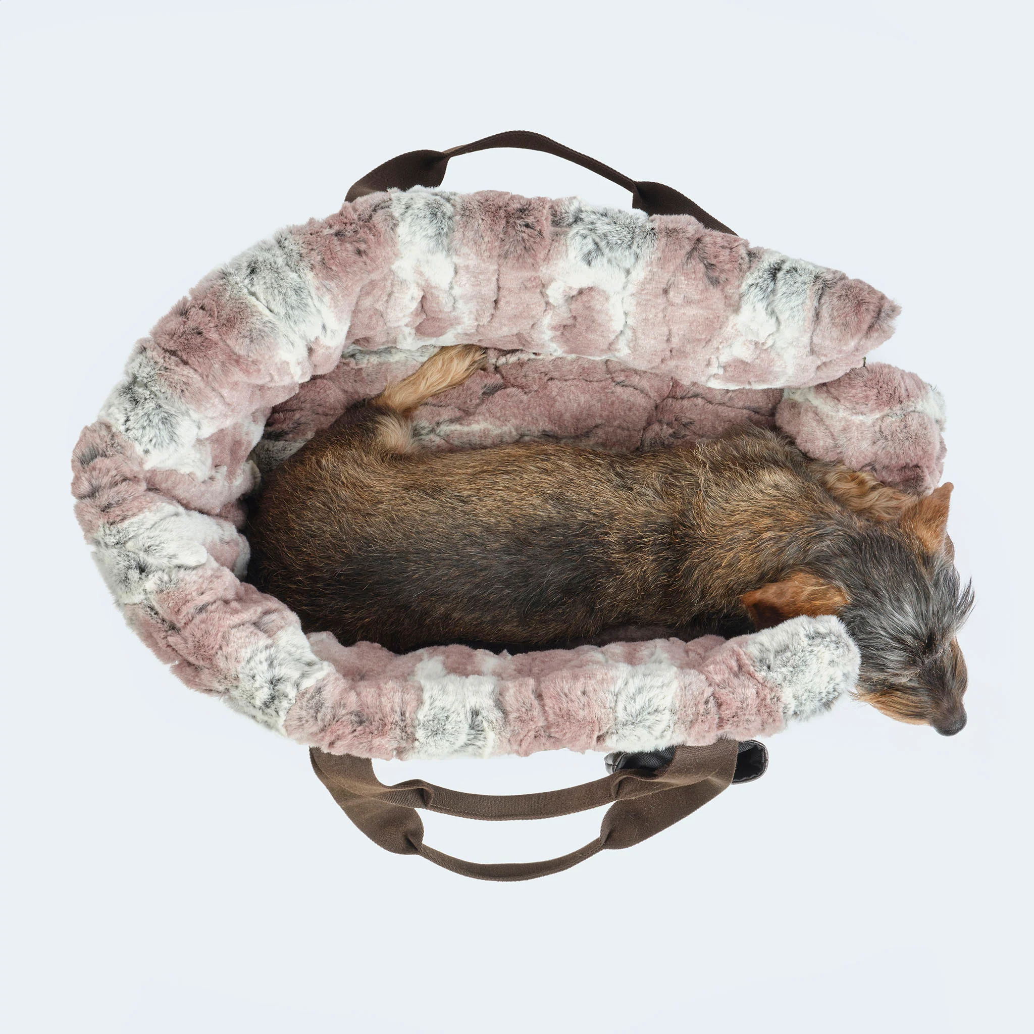 CosyBag München - Hundetasche aus Loden für Dackel und kleine Hunde - Image 6