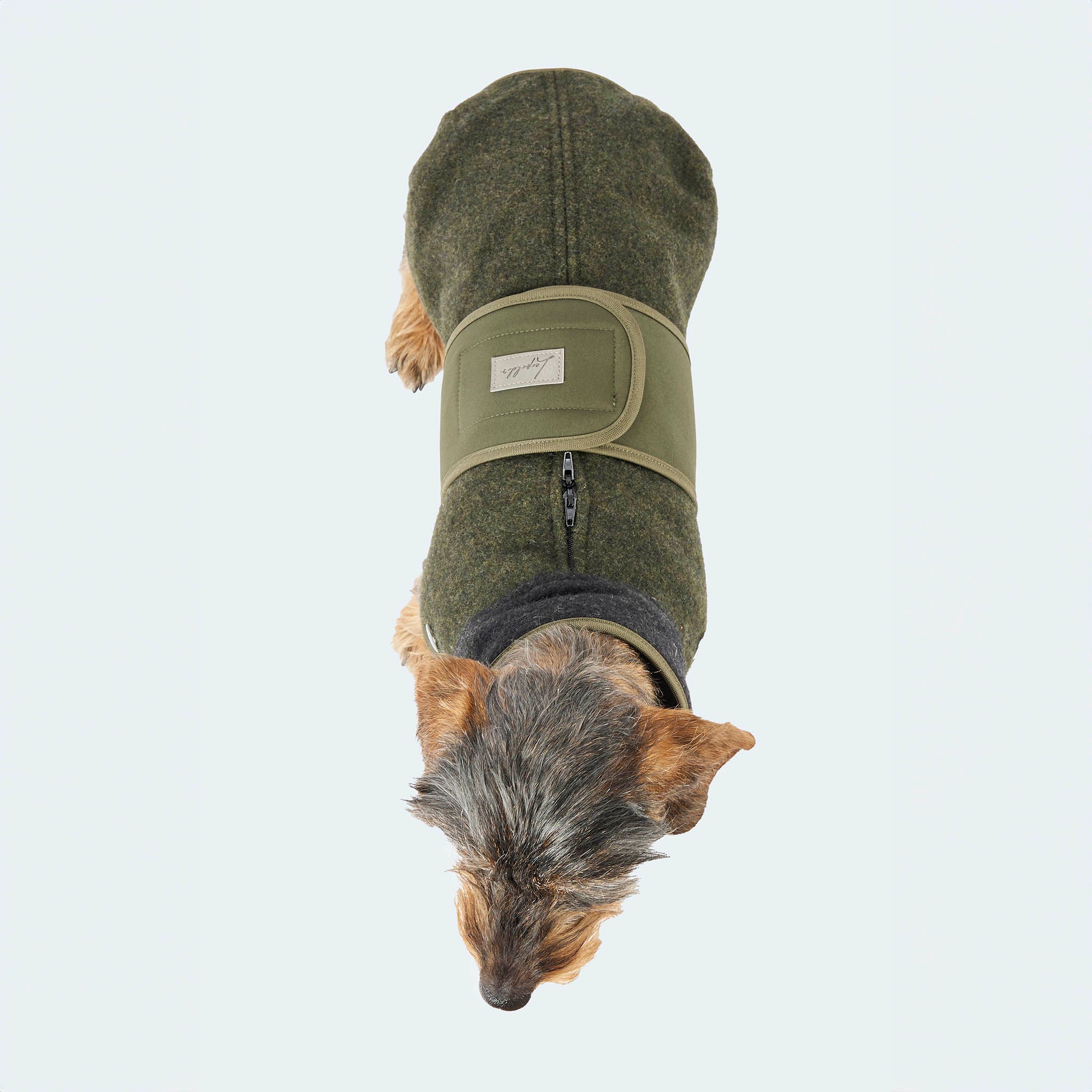 Lodenmantel mit ausknöpfbarem Fleece für Dackel und kleine Hunde - Image 27