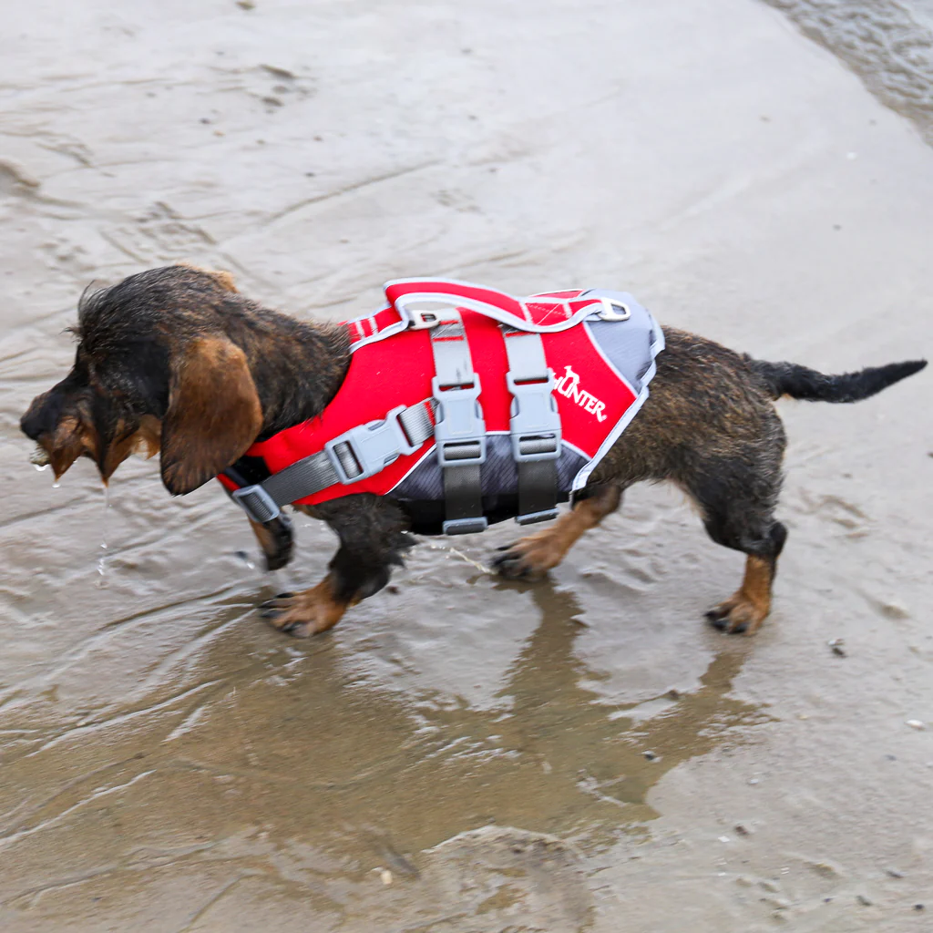 Schwimmweste für Hunde - Image 4